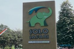 Harga Tiket Solo Safari saat Lebaran 2024 dan Jadwal Pertunjukannya