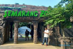 Tiket Masuk Semarang Zoo Selama Libur Lebaran 2024 Naik Jadi Rp35.000