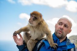 Kenali Tanda-Tanda Terinfeksi Virus B yang Ditularkan dari Monyet