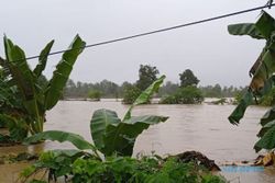 Innalillahi… 14 Warga Meninggal akibat Banjir Tiga Meter di Luwu Sulsel