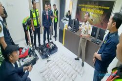 Penyelundupan 80.000 Ekor Benih Lobster ke Malaysia Digagalkan di Bandara YIA