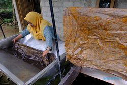 Perajin Batik di Wonosobo Manfaatkan Limbah Kopi dan Teh Jadi Pewarna Alami