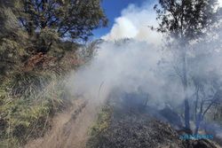 Sejak Selasa Malam, Kawasan Sabana Widodaren Gunung Bromo Terbakar