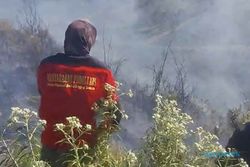 Kebakaran Hutan & Lahan di Gunung Bromo Akhirnya Berhasil Dipadamkan