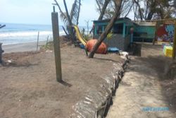 Gegara Abrasi, Tempat Konservasi Penyu di Pantai Trisik Perlu Segera Direlokasi