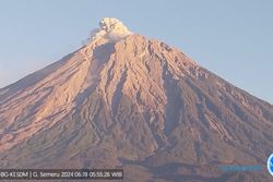 Ramai Info Pendakian Dibuka, Pagi Tadi Gunung Semeru Erupsi 600 Meter di Puncak
