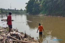 Fenomena Bladu Terulang di Bengawan Solo, Puluhan Warga Tepi Sungai Panen Ikan