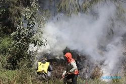 Kebakaran Hutan Kembali Terjadi di Kawasan Bromo, Kali Ini di Gunung Batok