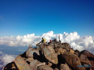 Cuaca Ekstrem, Jalur Pendakian Gunung Arjuno-Welirang Masih Ditutup