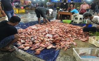Soal Audit Pasar Ikan Balekambang, Inspektorat Solo: Tunggu Perintah Wali Kota