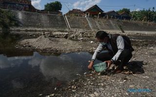 "Petugas Penyuluh Perikanan Klaten mengambil sampel ikan yang mati di alur Sungai Dengkeng, Desa Plosowangi, Kecamatan Cawas, Kamis (9\/9\/2021). (Istimewa) "
