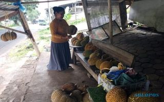 Rasa Legitnya Juara, Durian Brongkol Semarang Ini Sering Diburu Pembeli
