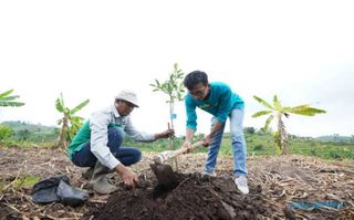 Djarum Foundation Hijaukan Gunung Muria, Petani Ikut Ketiban Rezeki